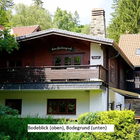 Ferienwohnungen Forellengrund Schierke Exterior photo