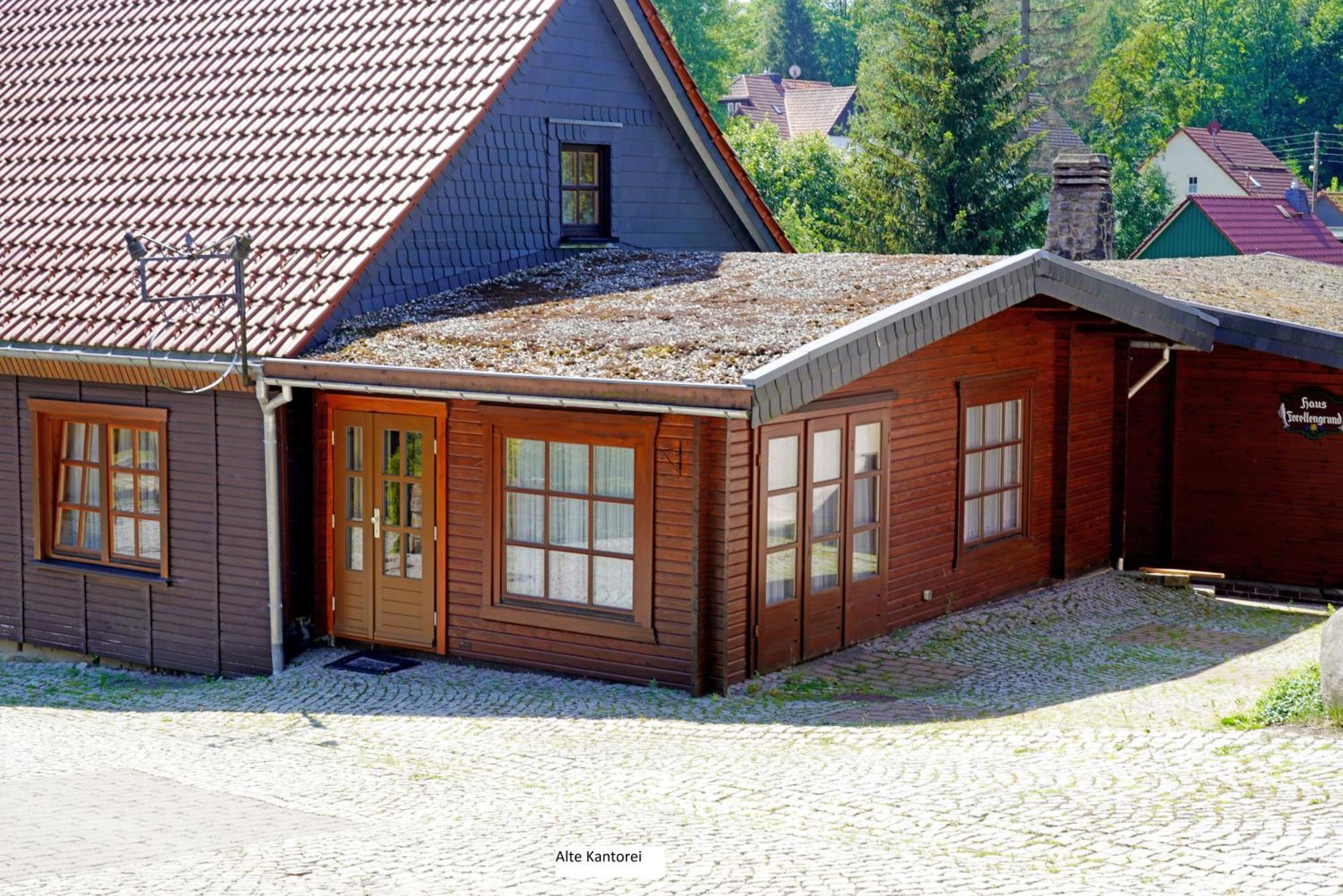 Forellengrund Schierke